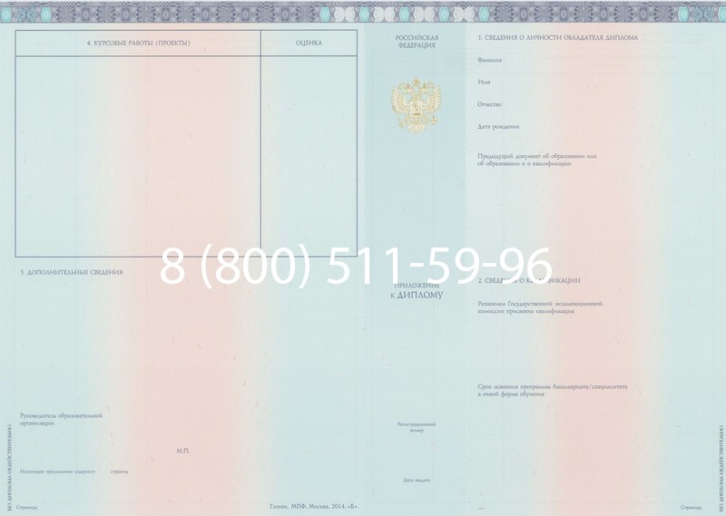 Заказать Диплом бакалавра 2014-2024 года в Туле