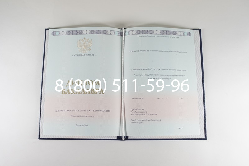 Диплом бакалавра 2014-2024 года в Туле
