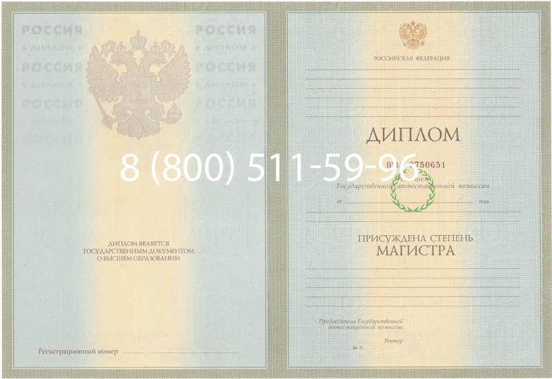 Купить Диплом магистра 2003-2009 годов в Туле