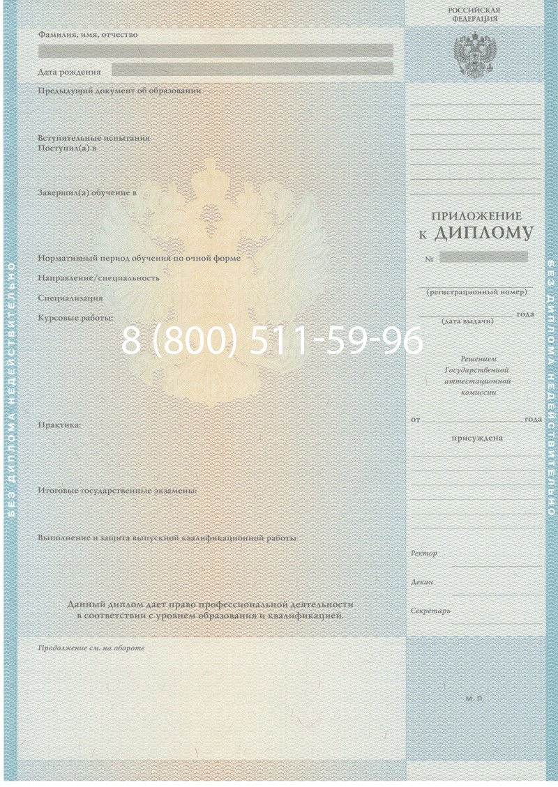 Заказать Диплом магистра 2010-2011 годов в Туле