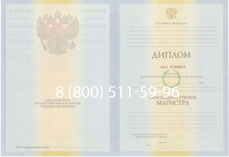Купить Диплом магистра 2010-2011 годов в Туле
