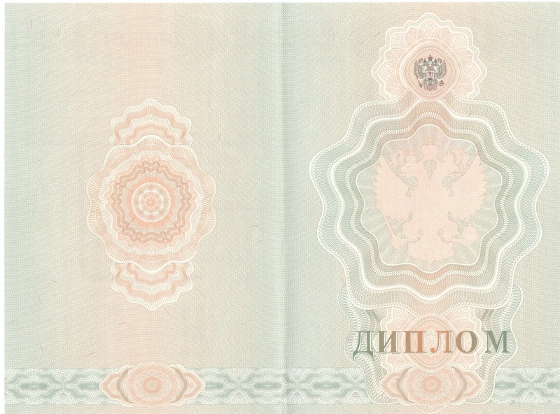 Купить Диплом о начальном образовании 2007-2009 годов в Туле Купить Диплом о начальном образовании 2007-2009 годов в Туле