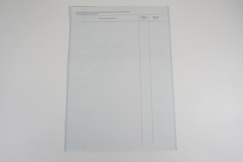 Диплом о начальном образовании 2007-2009 годов в Туле Диплом о начальном образовании 2007-2009 годов в Туле